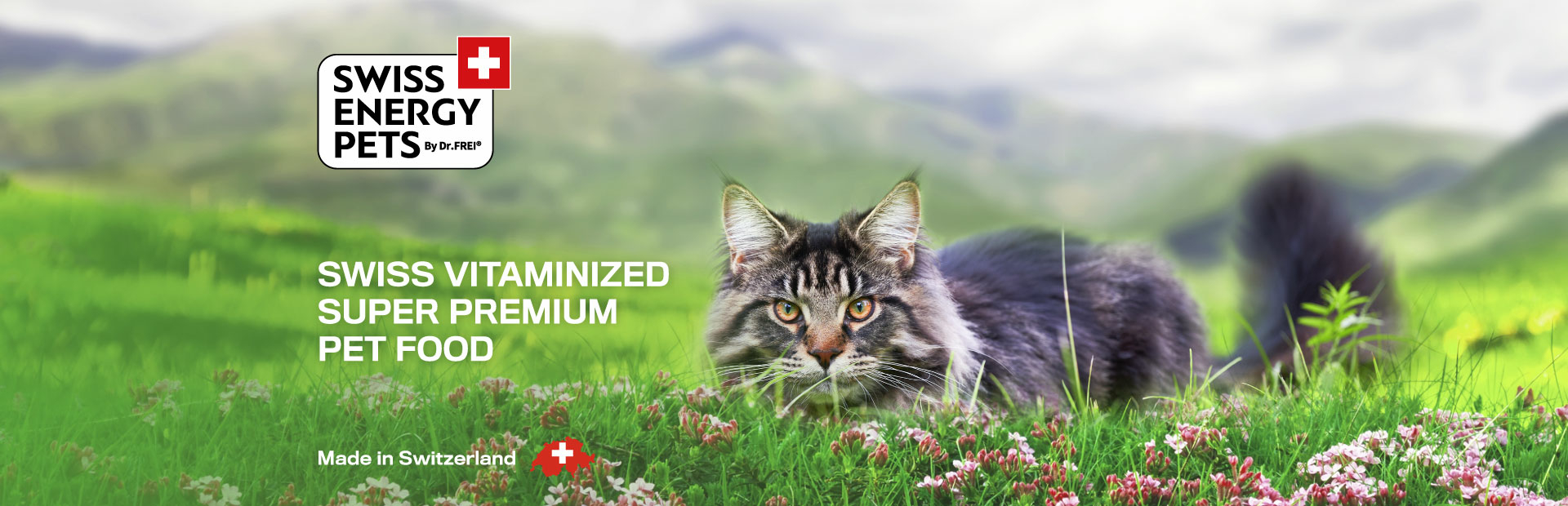 Swiss Pets Banner