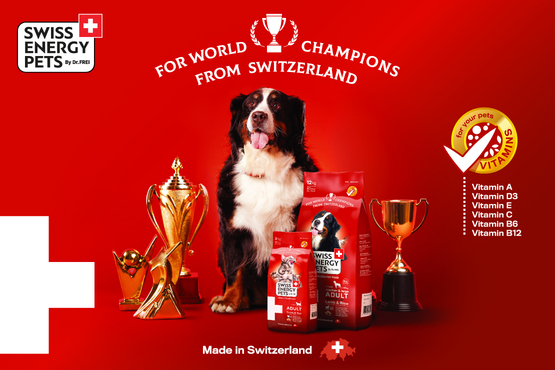 For World Champions from Switzerland